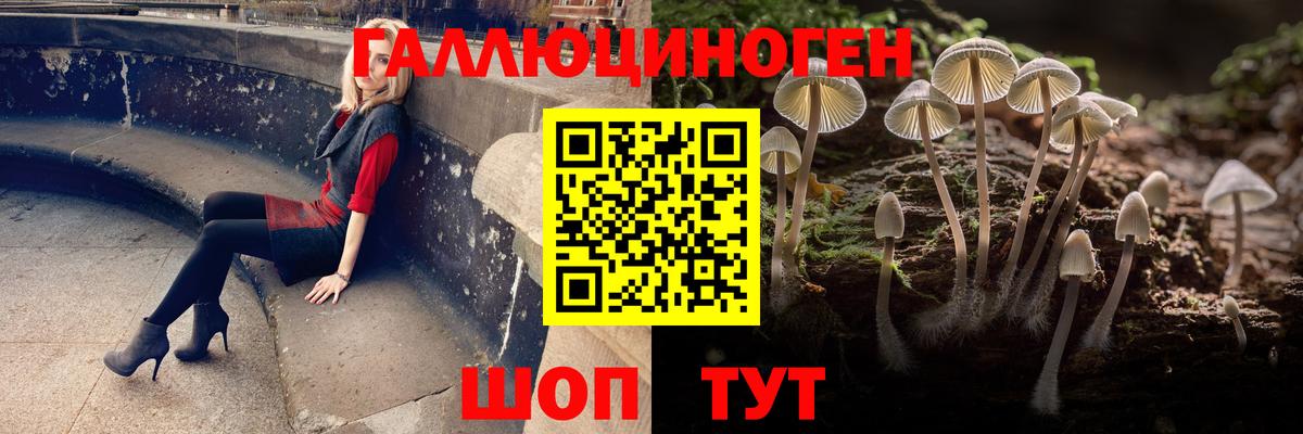Галлюциногенные грибы прущие грибы  Вход с VPN  Миасс 